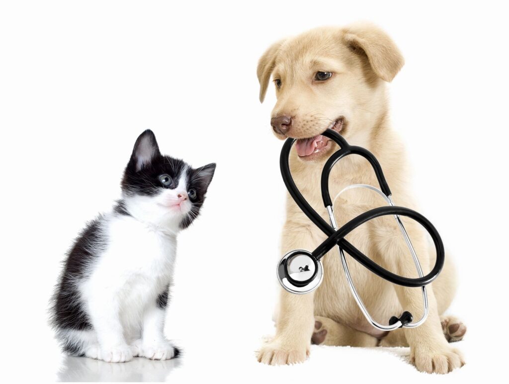 cat and dog mobile vet redding california